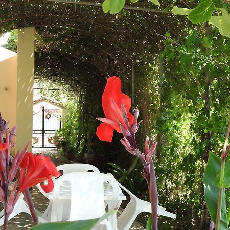Skala Eresos Paradise Studios سكالا إيريسو المظهر الخارجي الصورة