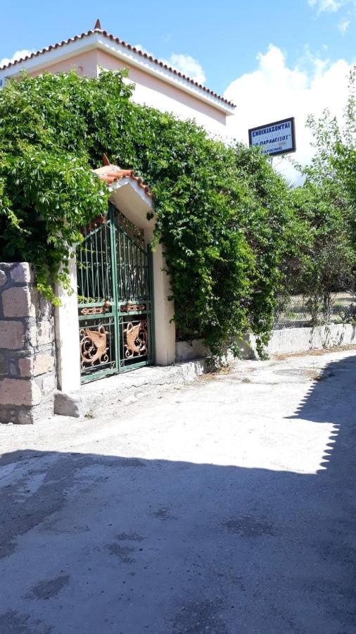 Skala Eresos Paradise Studios سكالا إيريسو المظهر الخارجي الصورة
