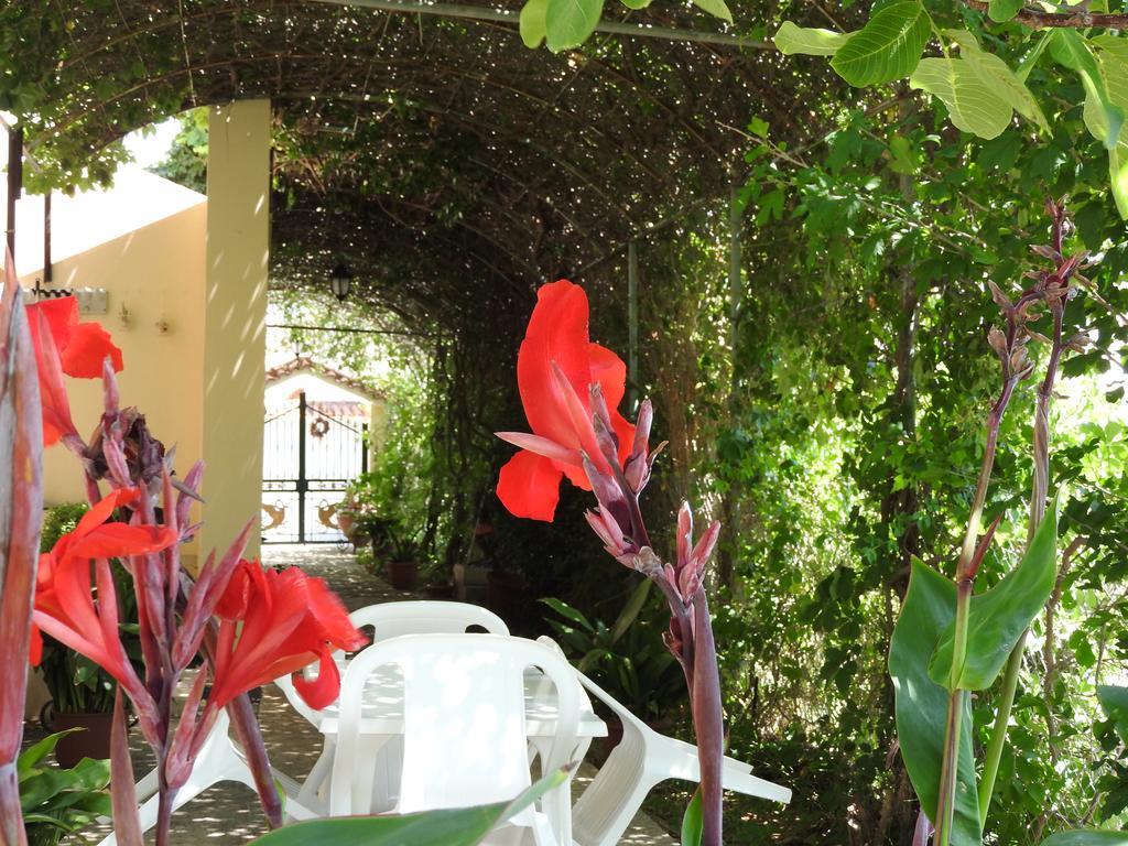 Skala Eresos Paradise Studios سكالا إيريسو المظهر الخارجي الصورة