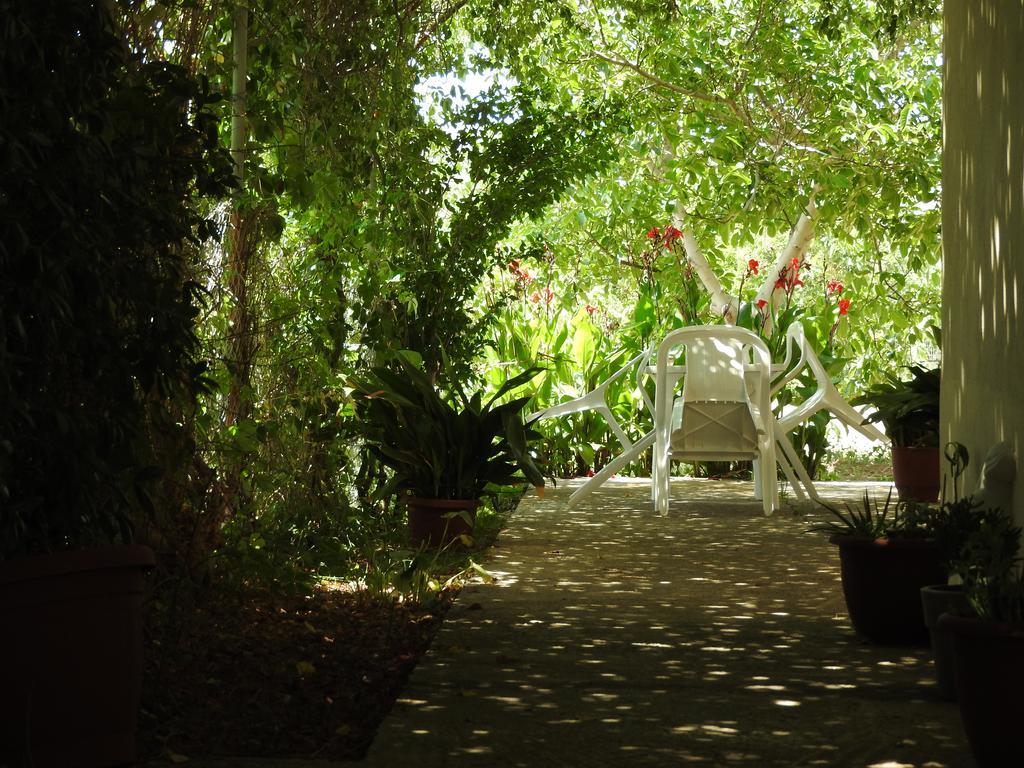 Skala Eresos Paradise Studios سكالا إيريسو المظهر الخارجي الصورة